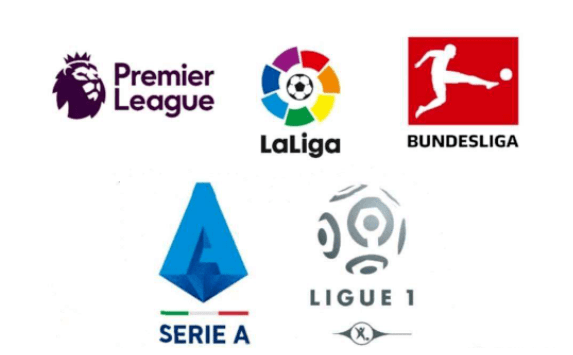 球迷的目光 球迷的目光